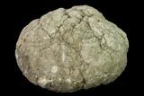 Keokuk Quartz and Calcite Geode Pair - Iowa #135667-1